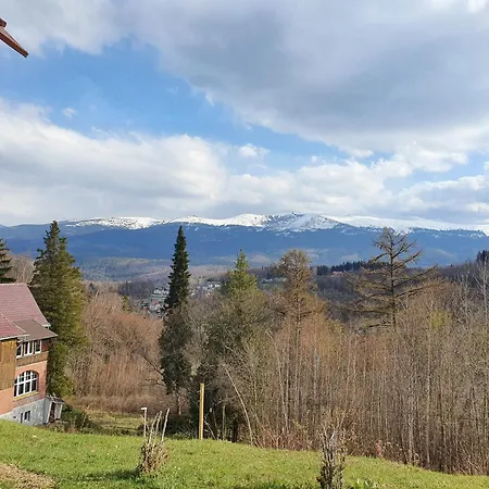 Mira Проживание в семье